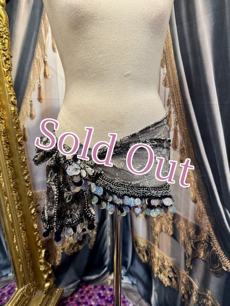 画像1: エジプト製ヒップスカーフ　no.14 (1)