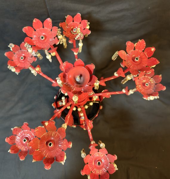 画像3: シャマダンレッド (3)