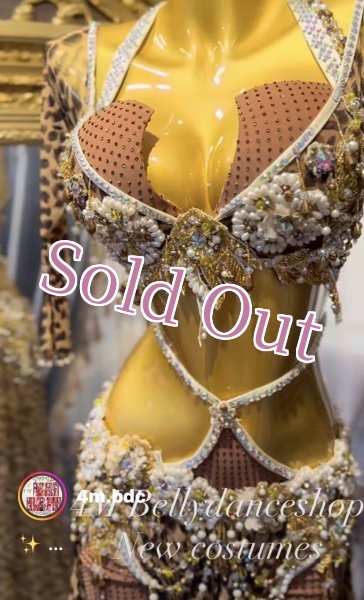 画像1: N様 ご予約オリエンタル (1)