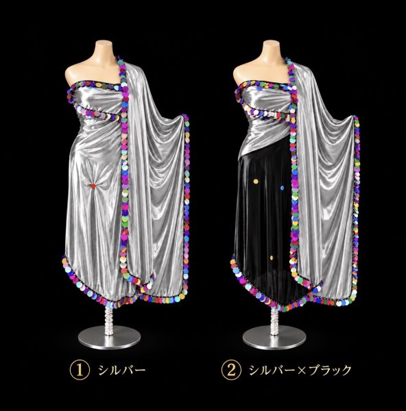 画像1: ミラーヤベール（Miraya)　シルバー×マルチコイン (1)