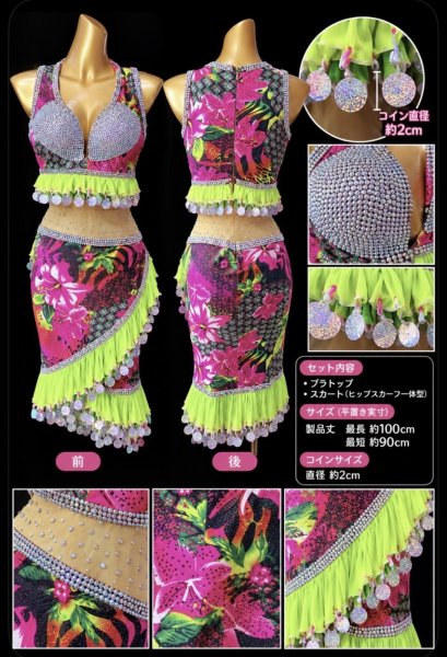 画像2: イスカンダラーニ (2)