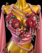 画像3: N様　ご予約　オリエンタルコスチューム(Asmahan ) (3)
