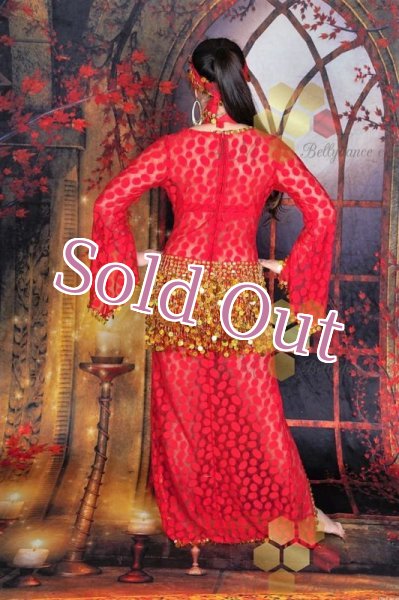 画像4: Aziza No,133 (4)