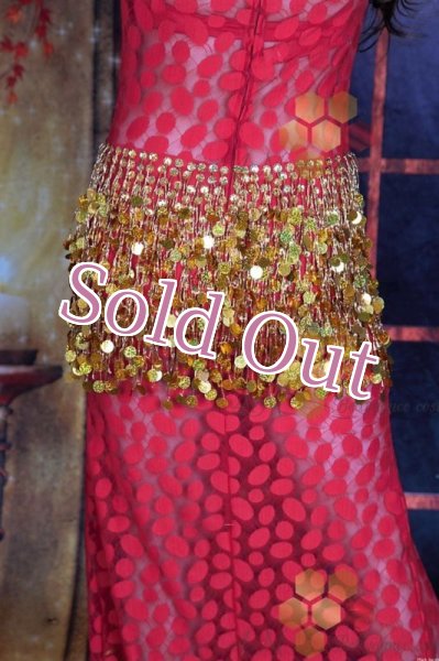 画像5: Aziza No,133 (5)