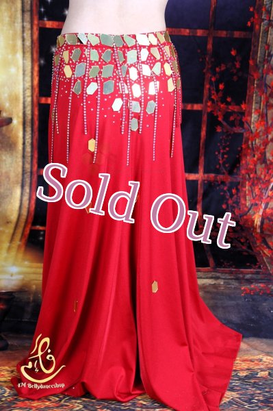 画像12: オリエンタル衣装　No,3 (12)