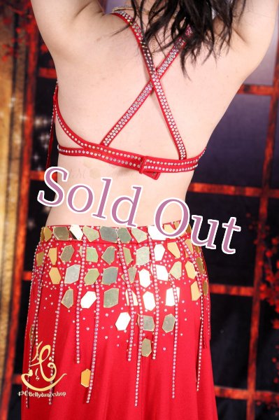 画像11: オリエンタル衣装　No,3 (11)