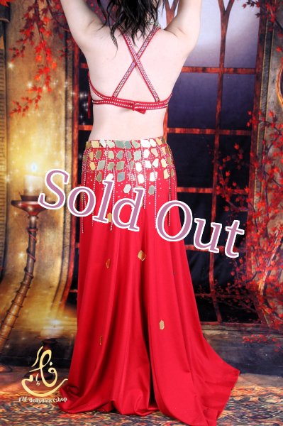 画像10: オリエンタル衣装　No,3 (10)