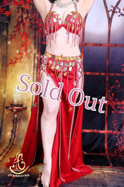 画像7: オリエンタル衣装　No,3 (7)