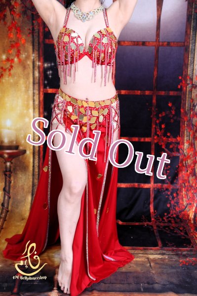 画像4: オリエンタル衣装　No,3 (4)