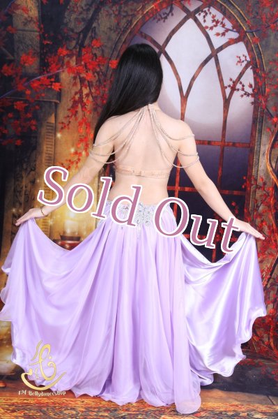 画像8: オリエンタル衣装　No,2 (8)