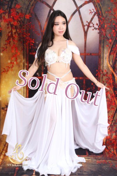 画像1: オリエンタル衣装　No,8 (1)