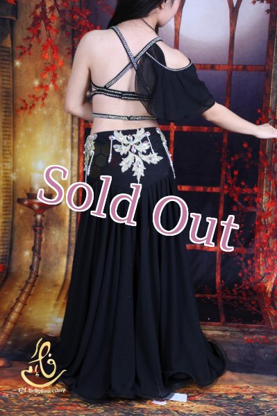 画像11: オリエンタル衣装　No,7 (11)