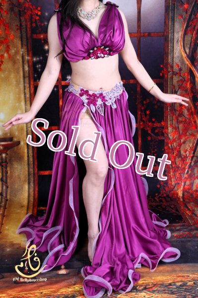 画像11: オリエンタル衣装　No,12 (11)