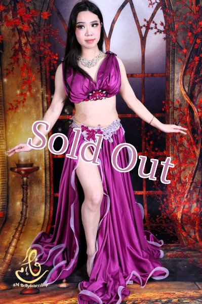 画像10: オリエンタル衣装　No,12 (10)