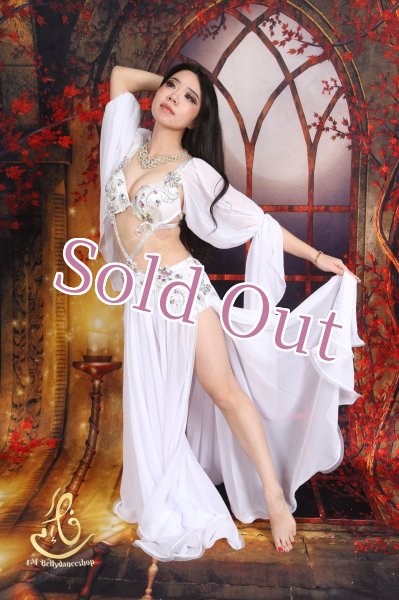 画像6: オリエンタル衣装　No,11 (6)