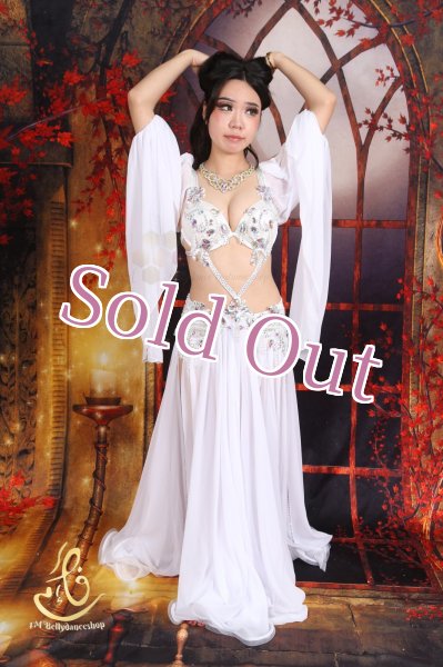 画像3: オリエンタル衣装　No,11 (3)