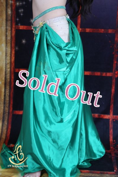 画像5: オリエンタル衣装　No,10 (5)