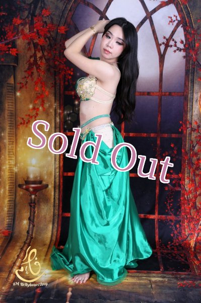 画像4: オリエンタル衣装　No,10 (4)