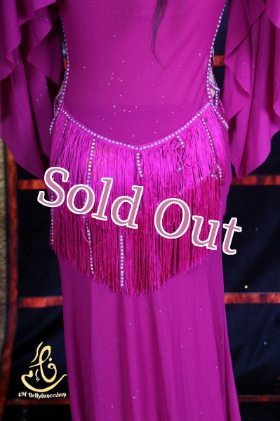 画像10: オリエンタル衣装　No,17 (10)