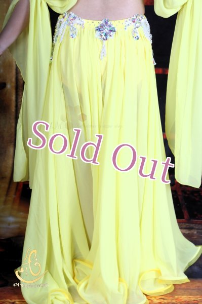 画像12: オリエンタル衣装　No,15 (12)