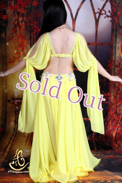 画像11: オリエンタル衣装　No,15 (11)