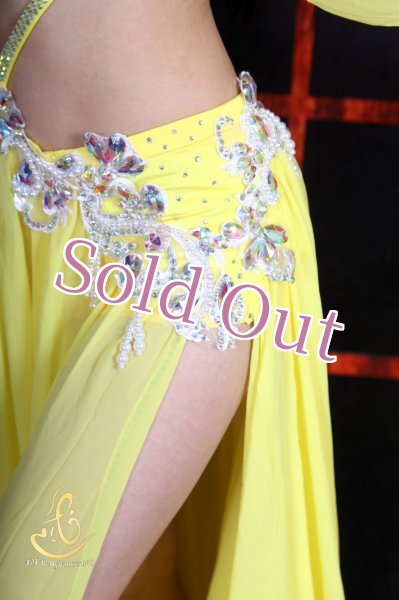 画像10: オリエンタル衣装　No,15 (10)