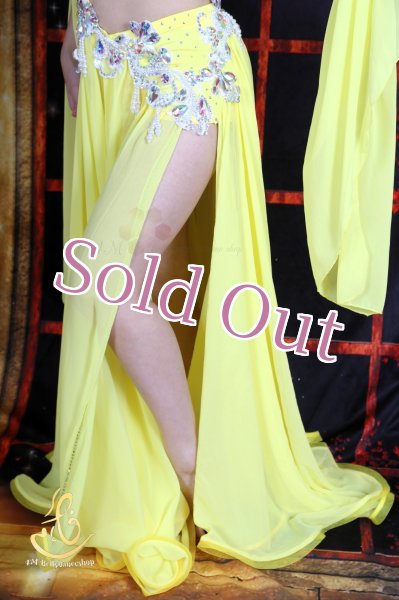 画像9: オリエンタル衣装　No,15 (9)