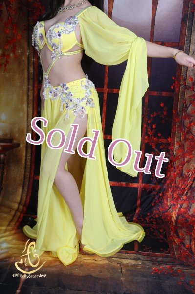 画像8: オリエンタル衣装　No,15 (8)