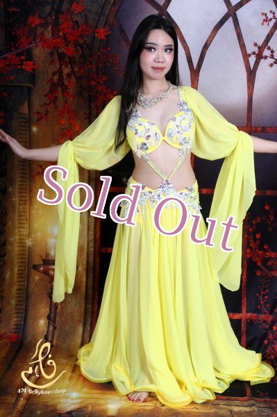 画像6: オリエンタル衣装　No,15 (6)