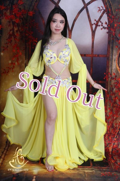 画像5: オリエンタル衣装　No,15 (5)