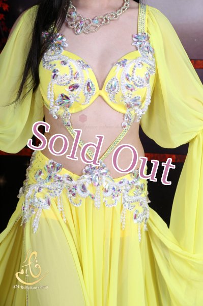 画像4: オリエンタル衣装　No,15 (4)