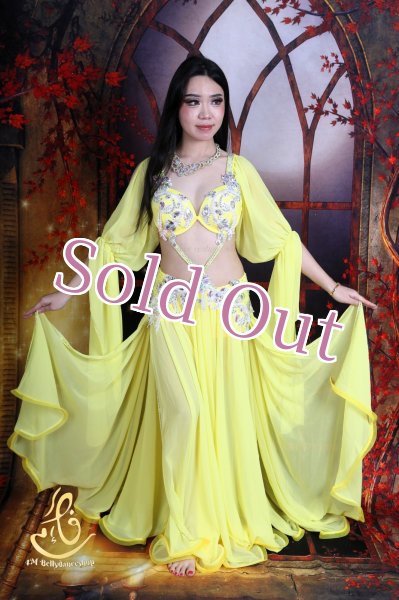 画像3: オリエンタル衣装　No,15 (3)