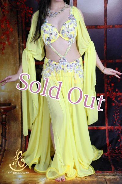 画像2: オリエンタル衣装　No,15 (2)