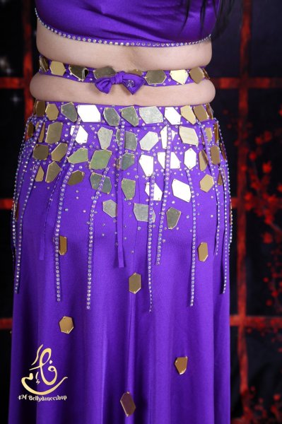 画像9: オリエンタル衣装 No,24 (9)