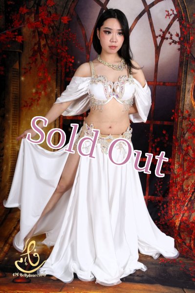 画像3: オリエンタル衣装　No,20 (3)