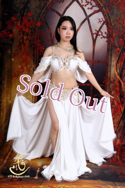 画像1: オリエンタル衣装　No,20 (1)