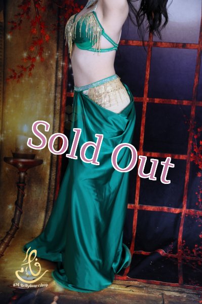 画像8: オリエンタル衣装　No,30 (8)