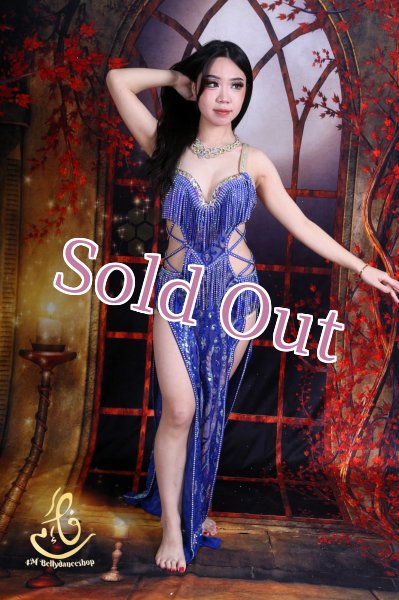 画像1: オリエンタル衣装　No,29 (1)