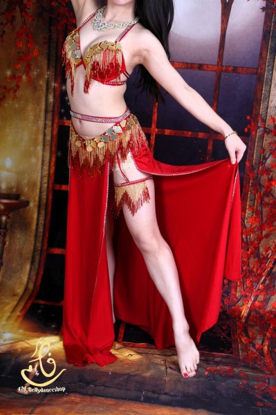 画像5: オリエンタル衣装　No,25 (5)