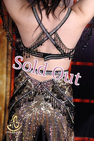 画像15: オリエンタル衣装　No,33 (15)