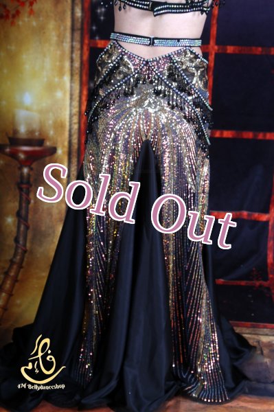 画像14: オリエンタル衣装　No,33 (14)