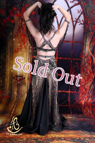 画像12: オリエンタル衣装　No,33 (12)