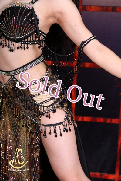 画像11: オリエンタル衣装　No,33 (11)