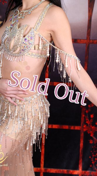 画像8: Camelia No,1 (8)