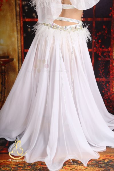 画像10: オリエンタル衣装 No,38 (10)