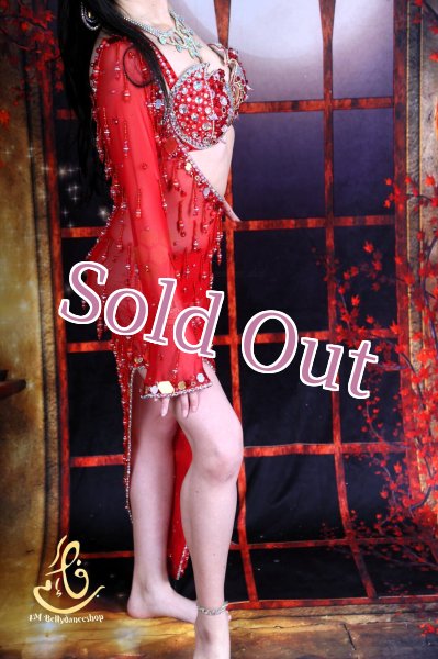 画像5: Camelia No,4 (5)