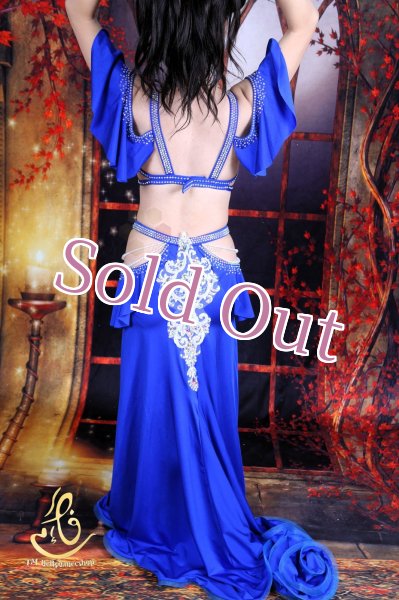 画像10: オリエンタル衣装　No,39 (10)