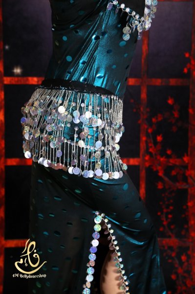 画像5: スパンコールサイディNo,25 (5)