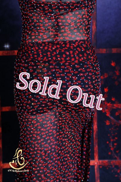 画像8: バラディNo,365 (8)