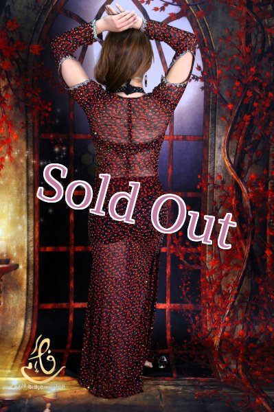 画像6: バラディNo,365 (6)